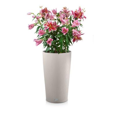 CILINDRO Color 23 sand brown